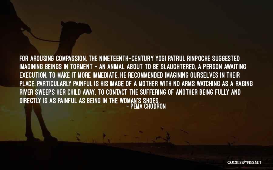 Animal Suffering Quotes By Pema Chodron Animal Suffering Quotes By Pema Chodron