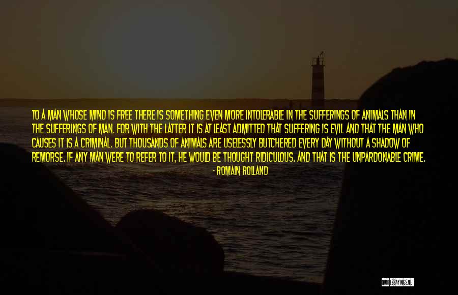 Animal Suffering Quotes By Romain Rolland Animal Suffering Quotes By Romain Rolland