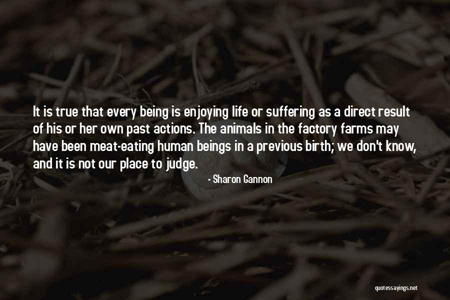 Animal Suffering Quotes By Sharon Gannon Animal Suffering Quotes By Sharon Gannon