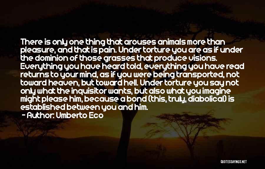 Animal Torture Quotes By Umberto Eco