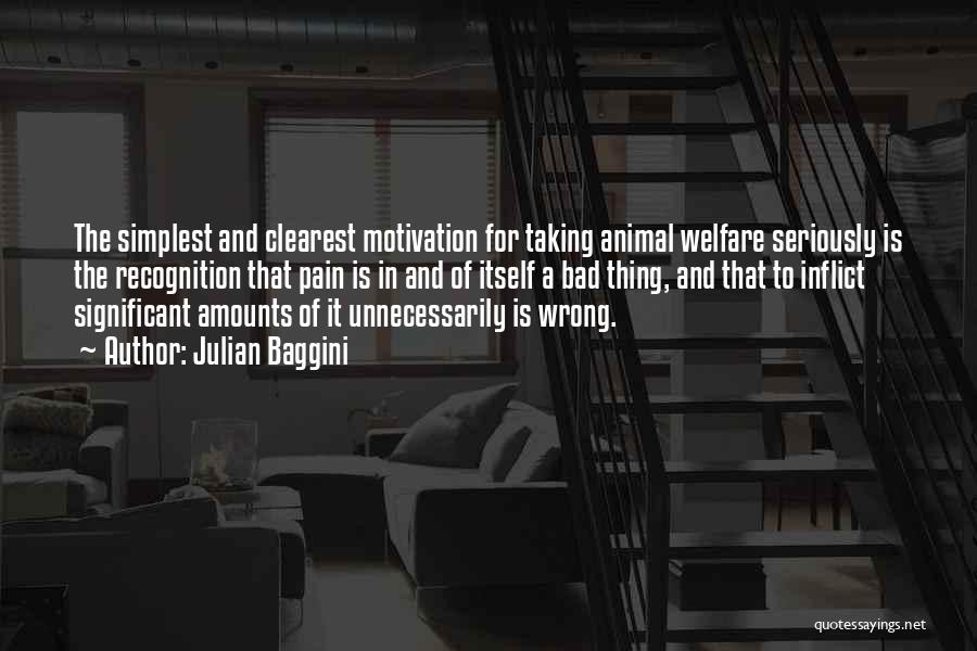 Animal Welfare Quotes By Julian Baggini