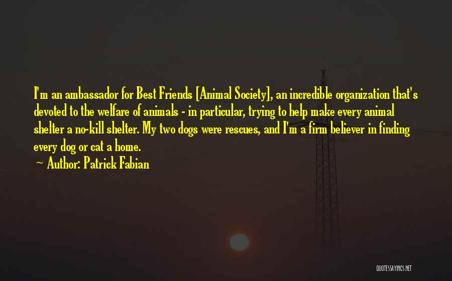 Animal Welfare Quotes By Patrick Fabian