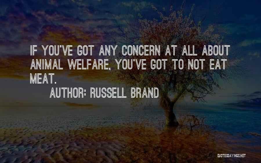 Animal Welfare Quotes By Russell Brand