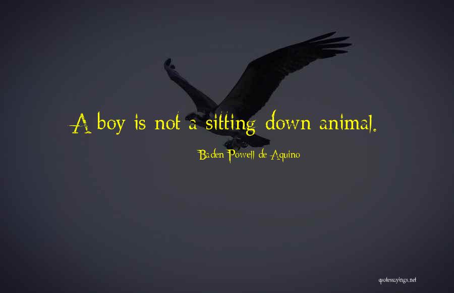 Animal Wisdom Quotes By Baden Powell De Aquino Animal Wisdom Quotes By Baden Powell De Aquino