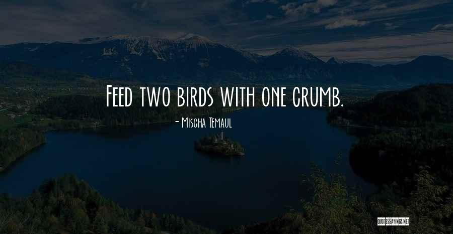 Animal Wisdom Quotes By Mischa Temaul Animal Wisdom Quotes By Mischa Temaul