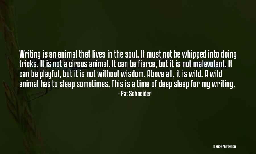 Animal Wisdom Quotes By Pat Schneider Animal Wisdom Quotes By Pat Schneider