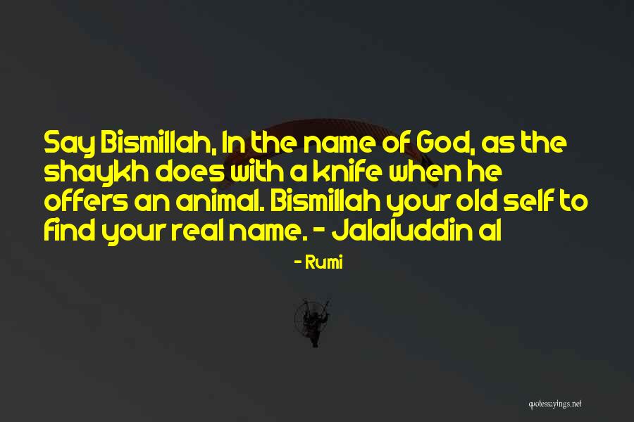 Animal Wisdom Quotes By Rumi Animal Wisdom Quotes By Rumi
