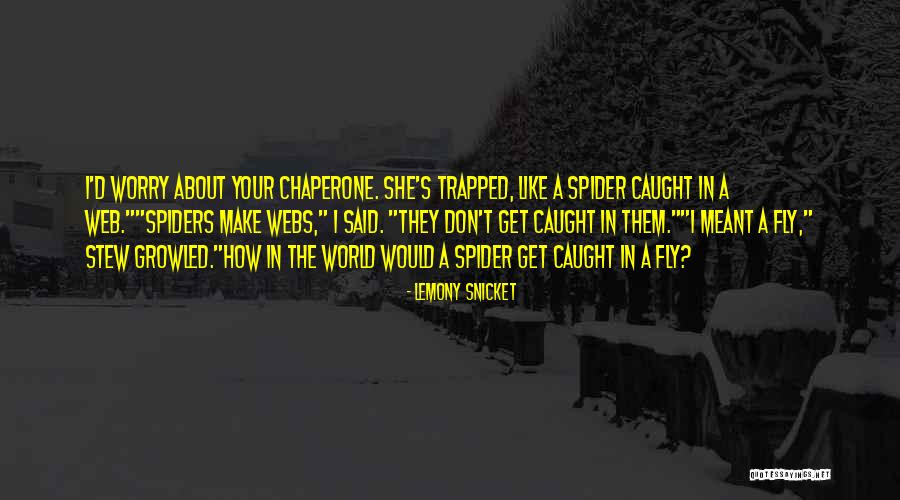 Animalcule In A Sentence Quotes By Lemony Snicket Animalcule In A Sentence Quotes By Lemony Snicket