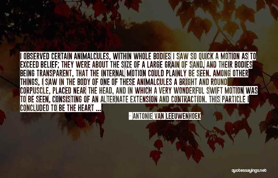 Animalcules Quotes By Antonie Van Leeuwenhoek Animalcules Quotes By Antonie Van Leeuwenhoek