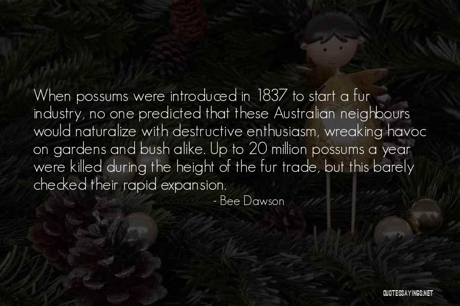 Animalitos Tiernos Quotes By Bee Dawson Animalitos Tiernos Quotes By Bee Dawson