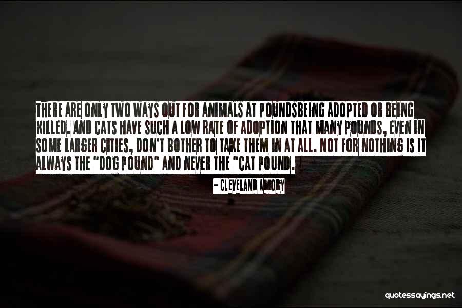 Animals Adoption Quotes By Cleveland Amory Animals Adoption Quotes By Cleveland Amory