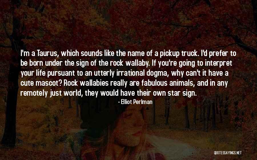 Animals And A Mascot Quotes By Elliot Perlman Animals And A Mascot Quotes By Elliot Perlman