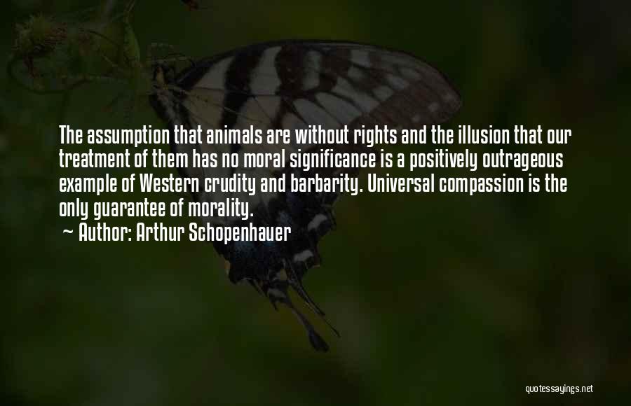 Animals And Compassion Quotes By Arthur Schopenhauer