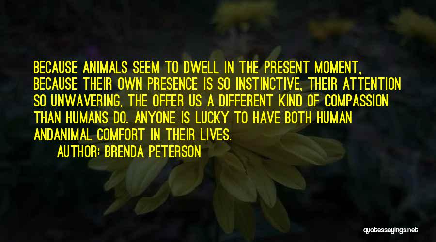 Animals And Compassion Quotes By Brenda Peterson