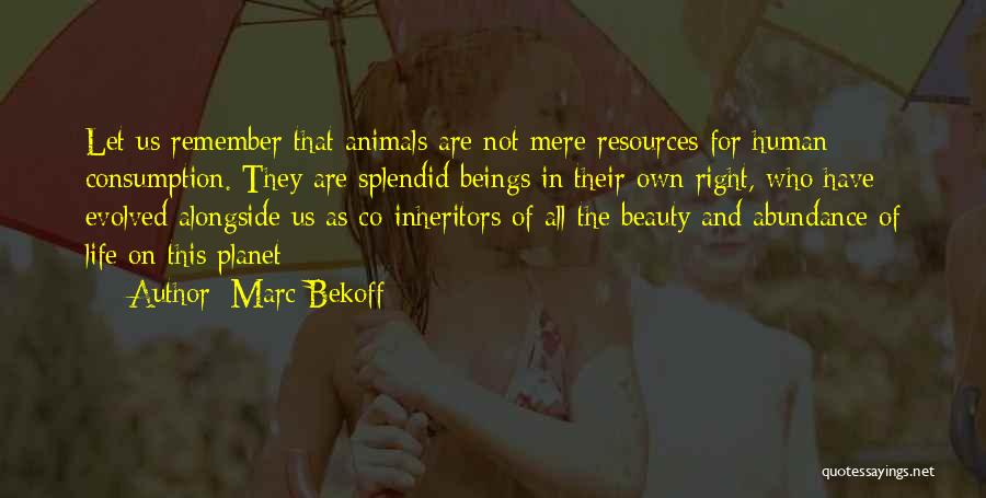 Animals And Compassion Quotes By Marc Bekoff