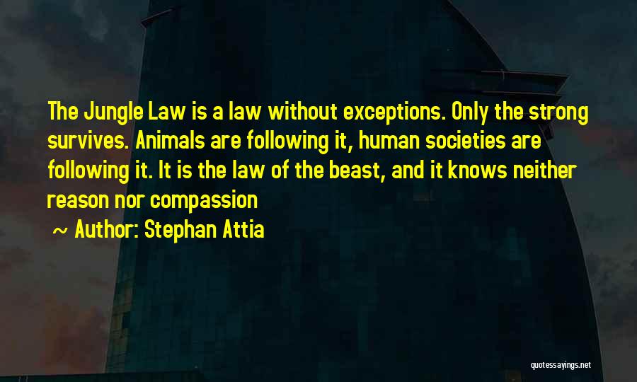 Animals And Compassion Quotes By Stephan Attia