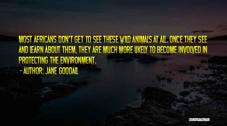 Animals And Environment Quotes By Jane Goodall