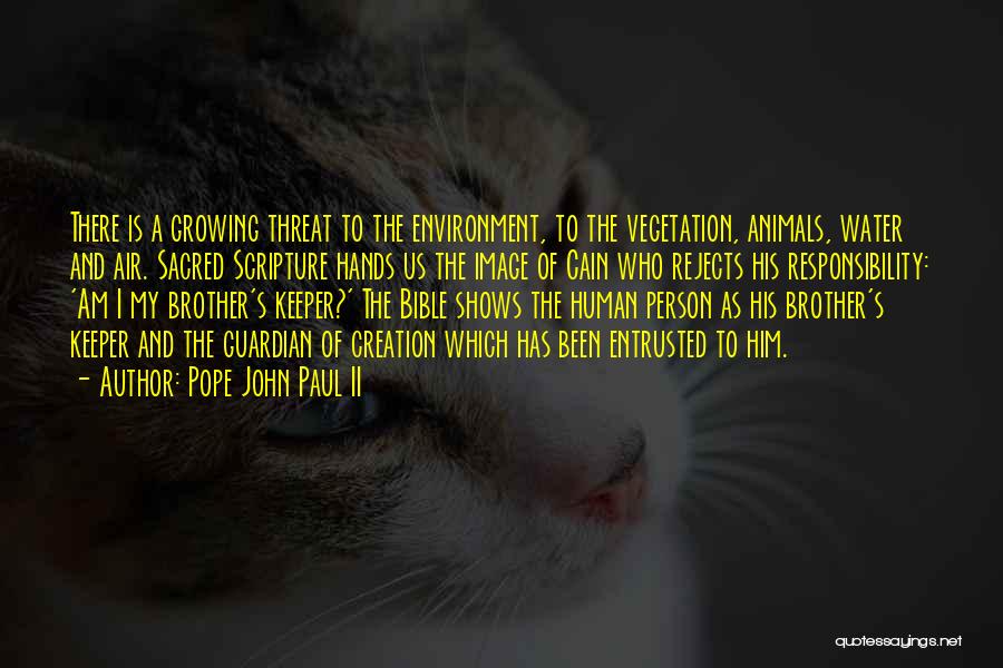 Animals And Environment Quotes By Pope John Paul II