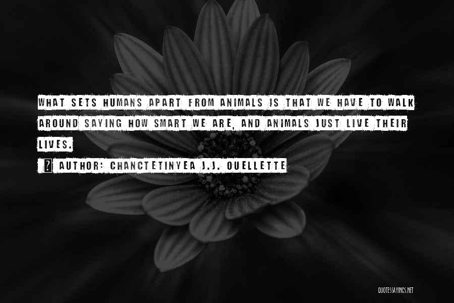 Animals And Humans Quotes By Chanctetinyea J.J. Ouellette