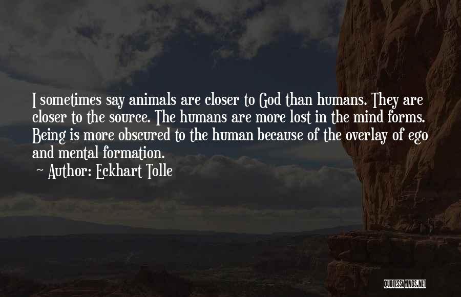 Animals And Humans Quotes By Eckhart Tolle