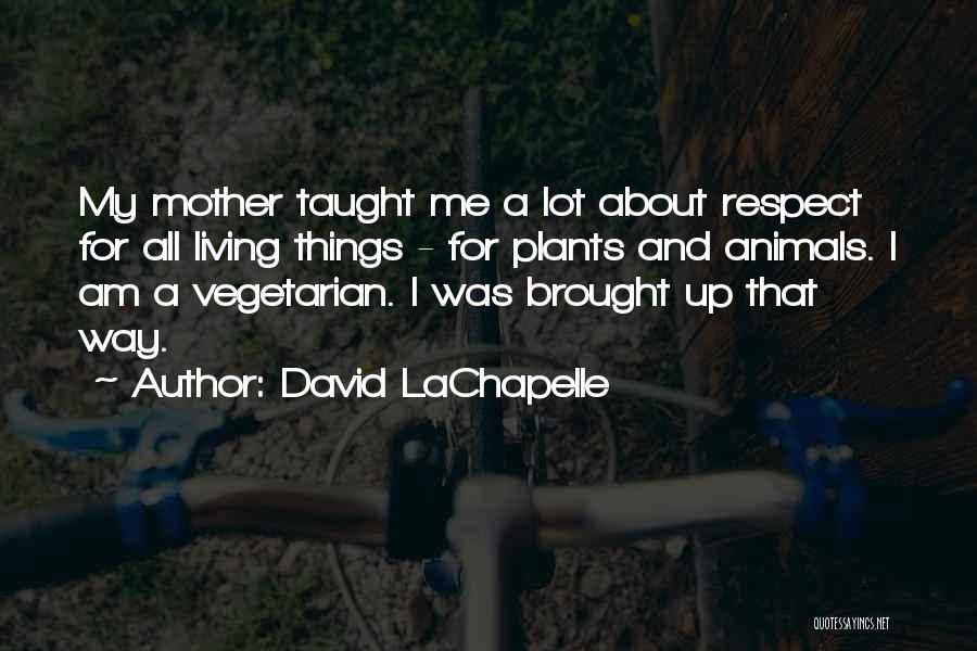 Animals And Plants Quotes By David LaChapelle