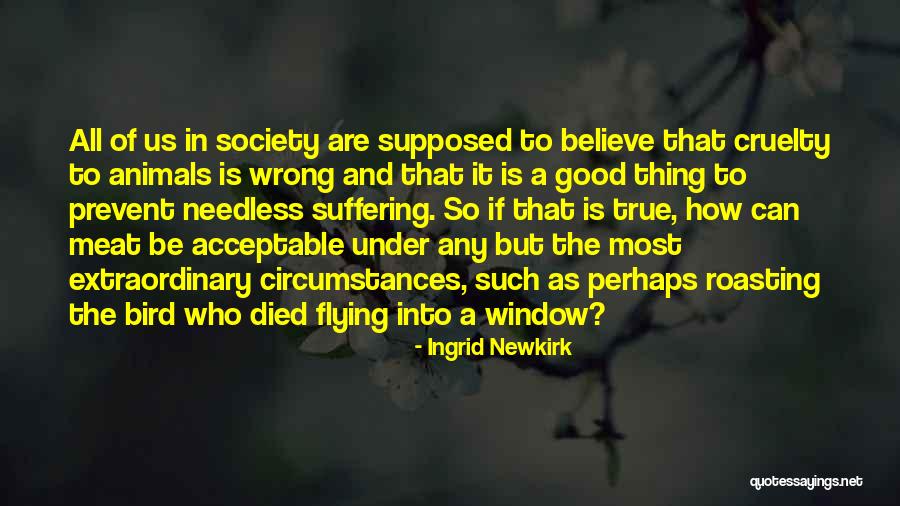 Animals And Society Quotes By Ingrid Newkirk Animals And Society Quotes By Ingrid Newkirk