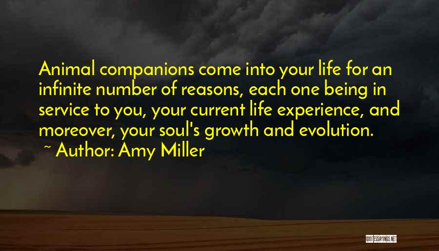 Animals And Soul Quotes By Amy Miller