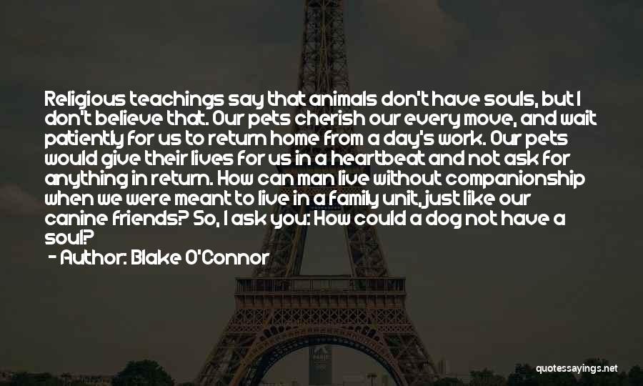 Animals And Soul Quotes By Blake O'Connor