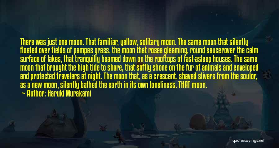 Animals And Soul Quotes By Haruki Murakami