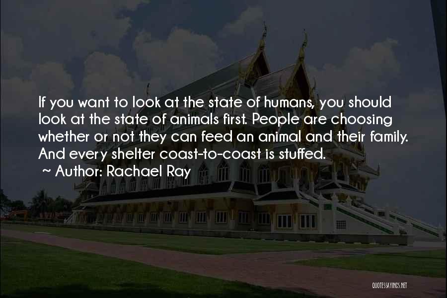 Animals Are Family Quotes By Rachael Ray
