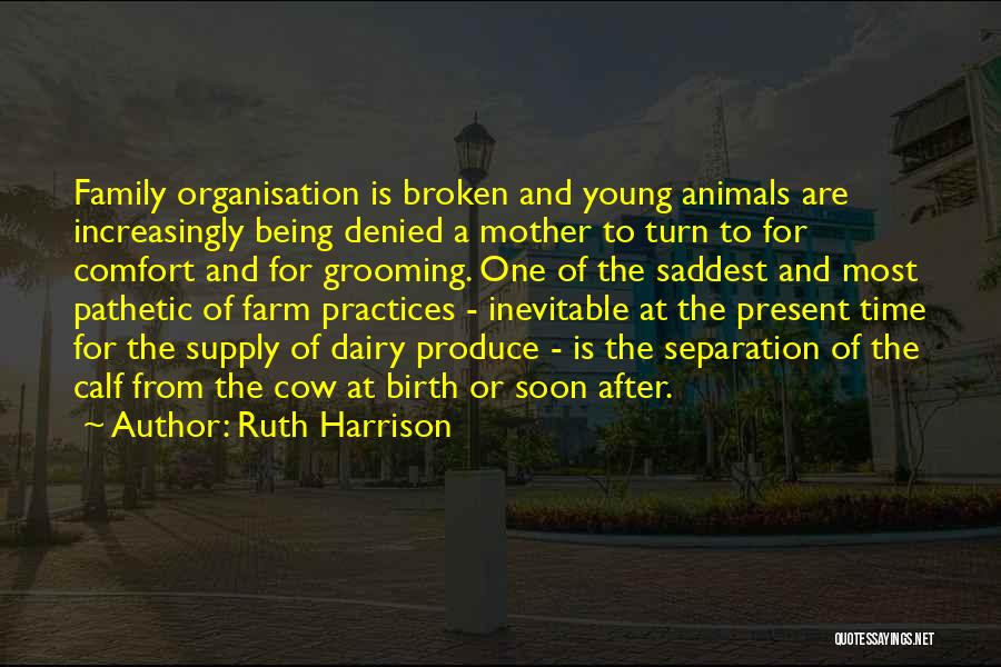 Animals Are Family Quotes By Ruth Harrison