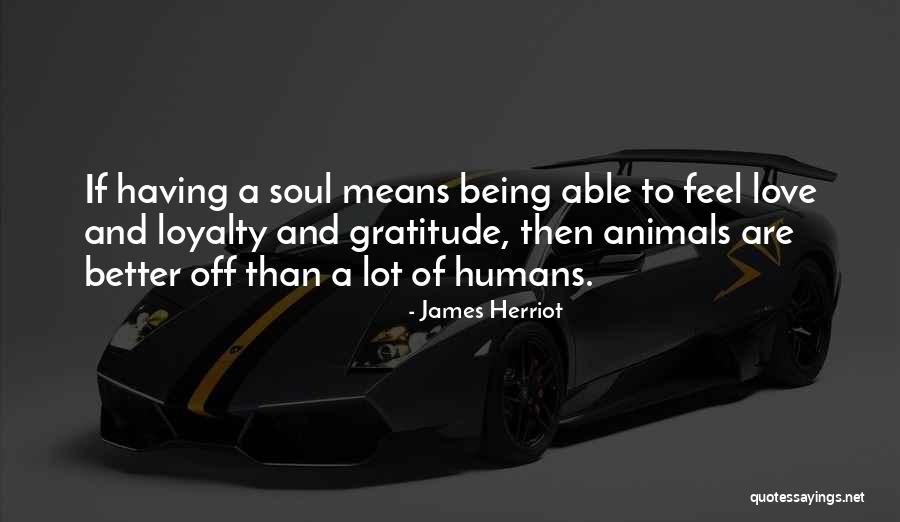 Animals Better Than Humans Quotes By James Herriot Animals Better Than Humans Quotes By James Herriot