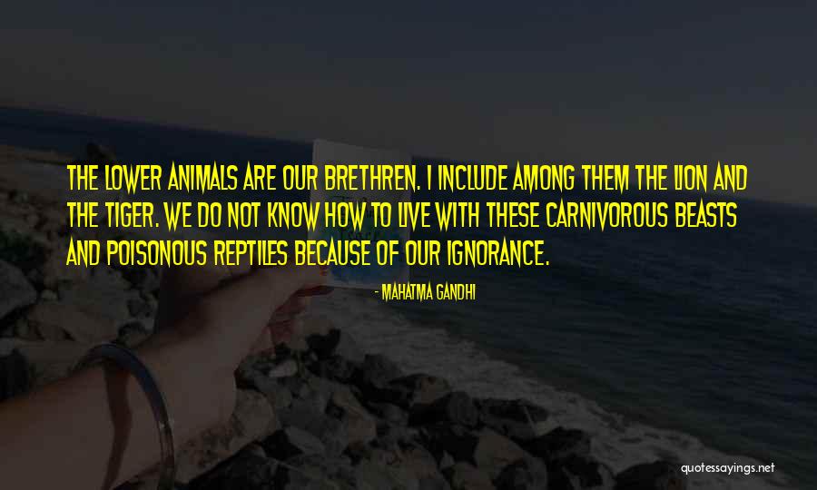 Animals By Mahatma Gandhi Quotes By Mahatma Gandhi