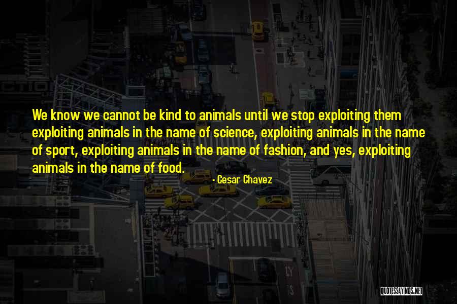 Animals Cruelty Quotes By Cesar Chavez Animals Cruelty Quotes By Cesar Chavez