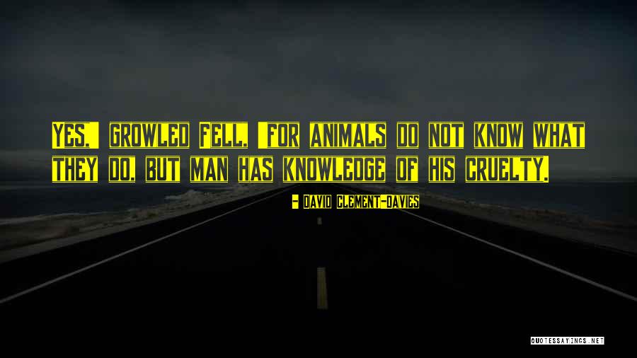 Animals Cruelty Quotes By David Clement-Davies Animals Cruelty Quotes By David Clement-Davies