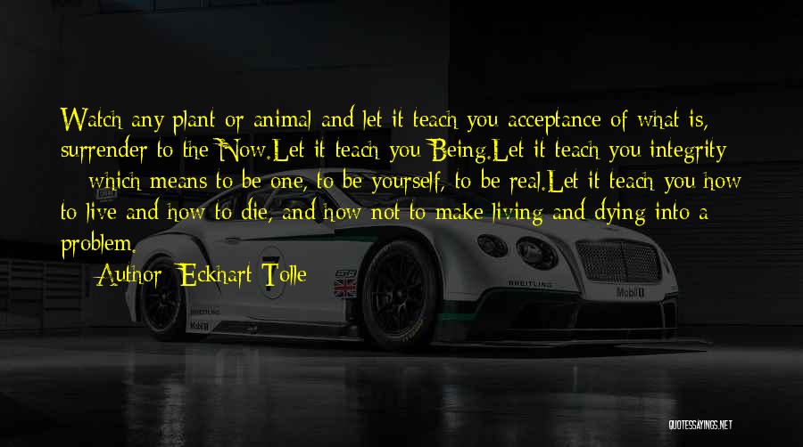 Animals Dying Quotes By Eckhart Tolle