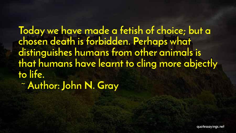Animals Dying Quotes By John N. Gray