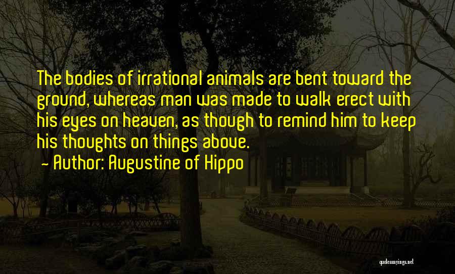 Animals Eyes Quotes By Augustine Of Hippo