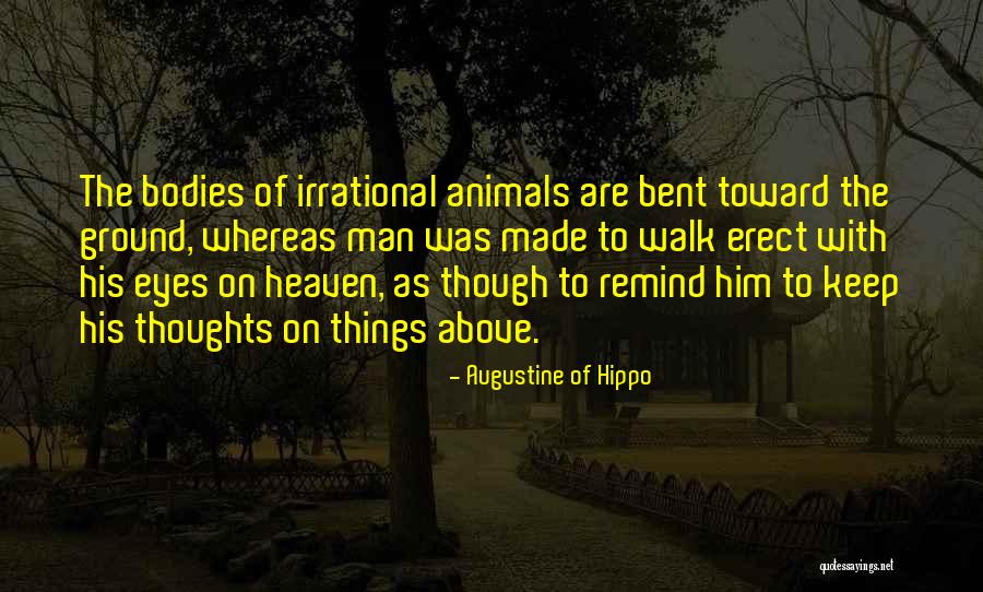 Animals Eyes Quotes By Augustine Of Hippo