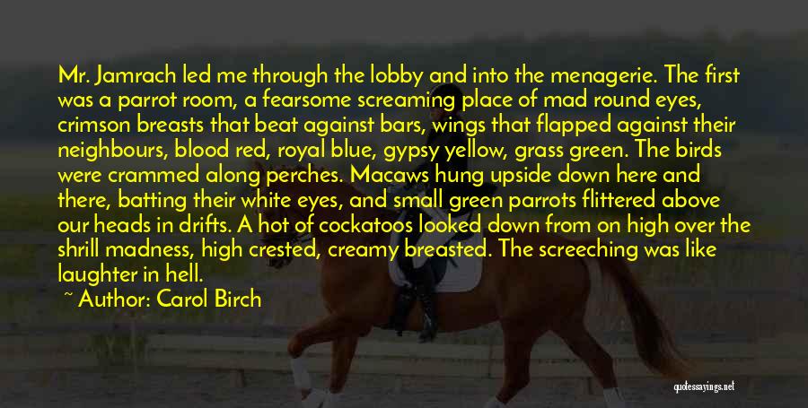 Animals Eyes Quotes By Carol Birch