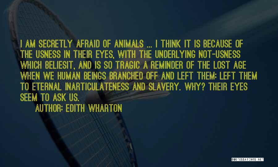 Animals Eyes Quotes By Edith Wharton