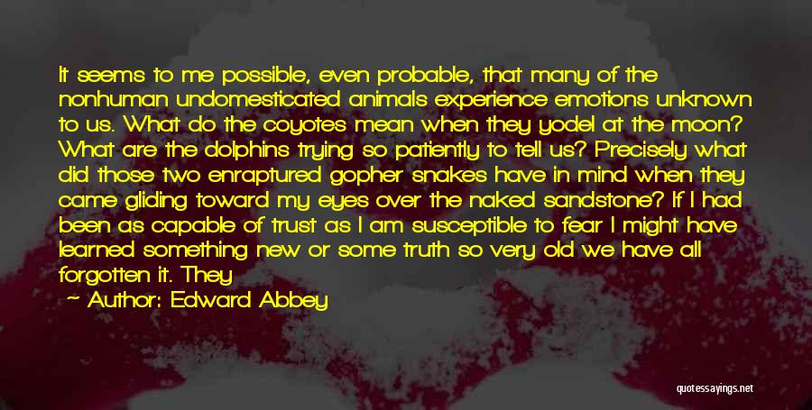 Animals Eyes Quotes By Edward Abbey