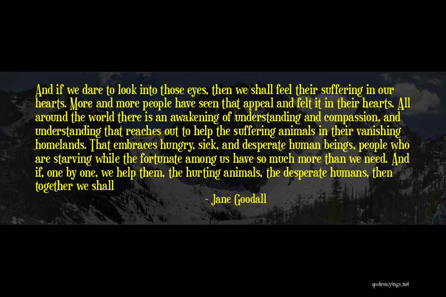 Animals Eyes Quotes By Jane Goodall