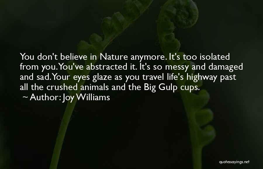 Animals Eyes Quotes By Joy Williams