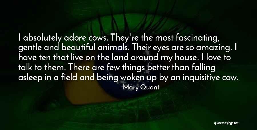 Animals Eyes Quotes By Mary Quant