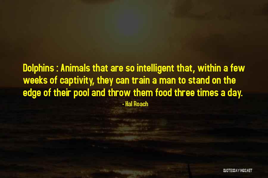 Animals Funny Quotes By Hal Roach Animals Funny Quotes By Hal Roach