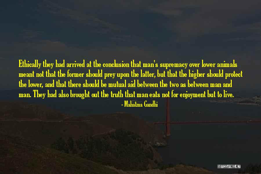 Animals Gandhi Quotes By Mahatma Gandhi Animals Gandhi Quotes By Mahatma Gandhi