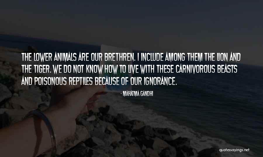 Animals Gandhi Quotes By Mahatma Gandhi Animals Gandhi Quotes By Mahatma Gandhi