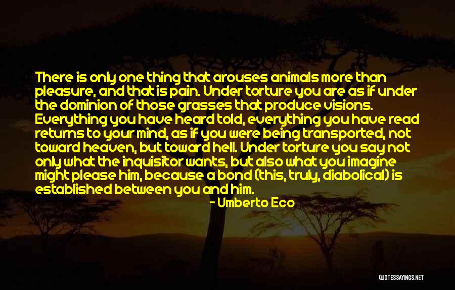 Animals Going To Heaven Quotes By Umberto Eco Animals Going To Heaven Quotes By Umberto Eco