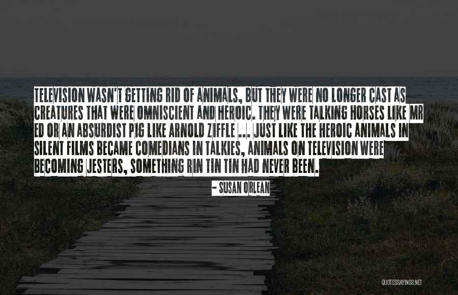 Animals Horses And Dogs Quotes By Susan Orlean Animals Horses And Dogs Quotes By Susan Orlean